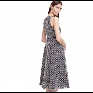 ANN TAYLOR navy with white eyelet overlay tea length dress